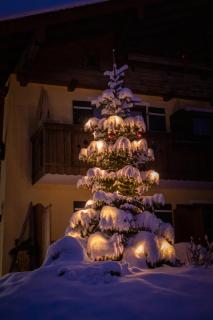 Alpenhotel Bergzauber - Berchtesgaden - 2