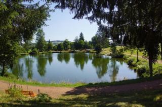 Ferienwohnung am Stehlesee - Herrischried - 7
