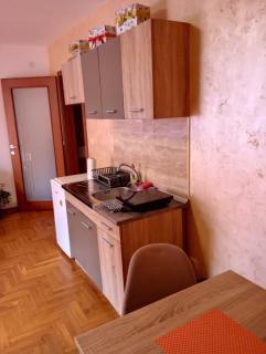 Apartman Radmanovac - Vrnjačka Banja - 1