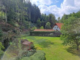Villa Gejzir 37 - Karlovy Vary - 8