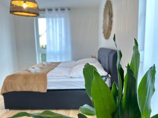 AMAO Grey - 86 m2 Apartment - Balcony - King-Size Beds - Free Parking - Near Europa-Park - Up to 12 Guests with 2 Units - 7
