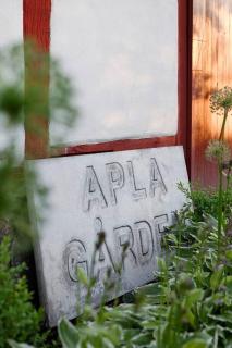 Aplagårdens vingård - Helsingborg - 2
