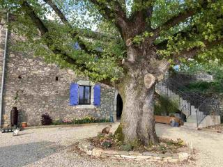 A l'Ombre des Tilleuls - Lagorce - 4