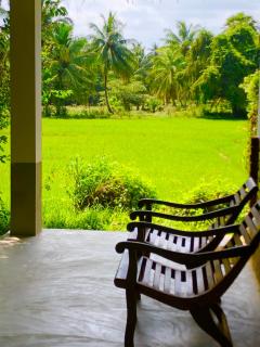 Wilpattu Green Cabin - Achchamulai - 9