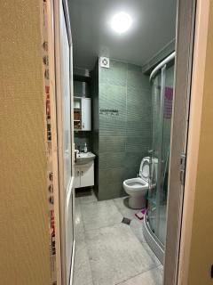 Flat 212 - Bakuriani - 5