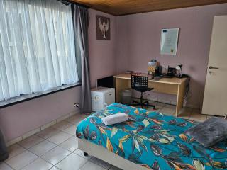 Homestay Gent-Merelbeke self check-in service - Gent - 3