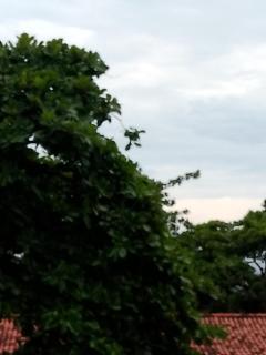 Apartamento com 187m2 três quartos, quadra da praia de Copacabana. - 7