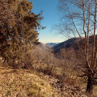 LE NID ROUDELA - Garin - 2