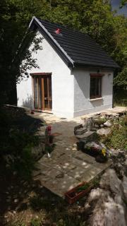 In The Woods - Ballintogher - 3