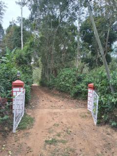 Coorg klusters estate stay - Virajpet - 7