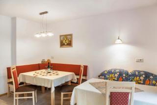 Ferienwohnung Dornauer Sommer - Hippach - 5