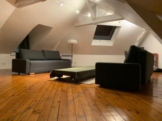 Loft au calme, idéal pour famille, proche de Reims - Saint-Brice-et-Courcelles - 8