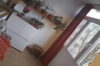 2 room apartment - Cluj-Napoca - 2