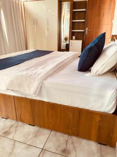 Springfield service villa - Mananthavady - 6