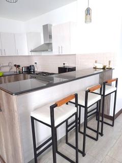 The Upscale Vikenyan Retreat - 1