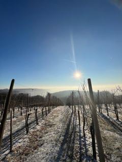 Villa VINEYARD - Velika Nedelja - 2