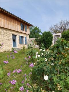 Gîte La Canopée au cœur de la campagne face au Vercors - - 6