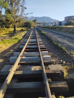 Hotel FLORA Suesca - 1