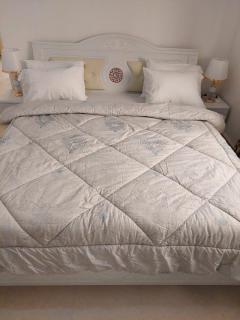 DOUCE NUIT DES RÊVES - 5