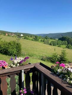 Morgensonne - Arnoldshammer - 8