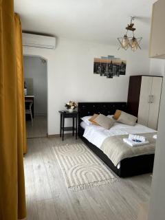 Downtown Studio by Darius Residence - Bucharest - 9