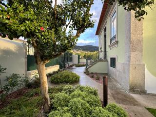 Casa Brandao - Vale de Cambra - 9