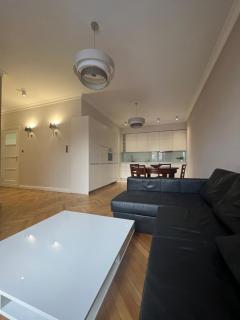Apartament Wólczańska w stylu nowojorskim - Łódź - 1