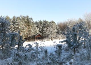 Domki nad zalewem w Jacni - Adamów - 5