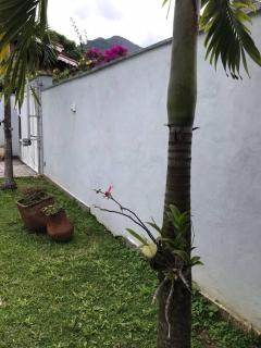 Espaçosa Casa em Teresópolis RJ - Teresópolis - 9