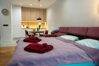 Raspberry apartment and SPA - Dziwnów - 8
