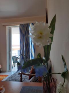 a comfortable studio near the University - Patra - 0