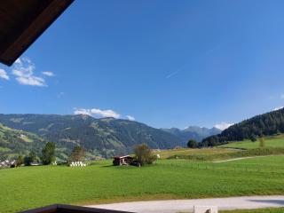 Bauernhofhotel "die Unterbergerin" - Zimmer mit Frühstück und Ferienwohnungen in Gastein mit GRATIS Thermeneintritt - Dorfgastein - 2
