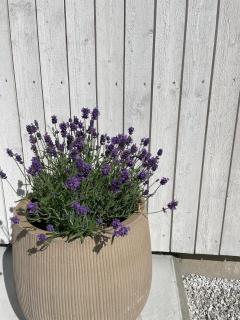 Villa Vitviken Sleeps 2 With Pool - 2