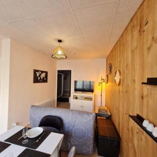 Bel appartement « Les Monts du Cantal » - 2