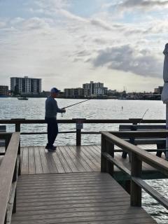 Coral Resort D4 - Clearwater Beach - 5