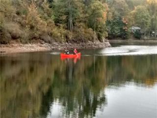 Yeomans Cottage on the Water! - Tichborne - 6