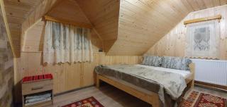Cabana Ianis - Topliţa - 1