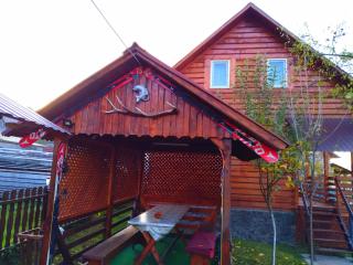 Cabana Ianis - Topliţa - 7
