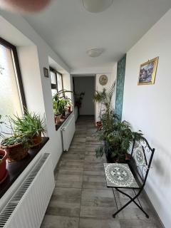 Solaria Budget Studio - Galaţi - 3