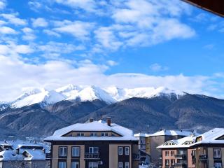 VV Apartment Bansko - 1