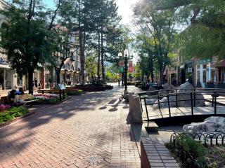 Beautiful Pearl Street Condo--30 day minimum stay - Boulder - 9