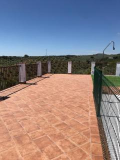 La sombra del lagarto - Peñaflor - 6