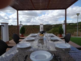 La sombra del lagarto - Peñaflor - 4