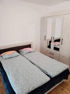Apartman Ziza - Soko Banja - 5