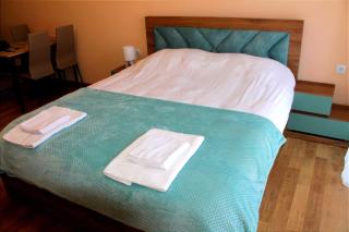 The Valley Bakuriani Didveli Apartment 304 - 6