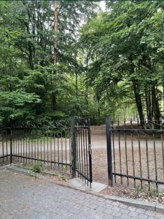 Apartament Jantarowe Zacisze Rose - Jantar - 5