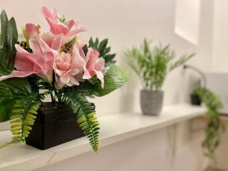 *Le Lotus*Fiber Wifi*Hyper Center* - 1