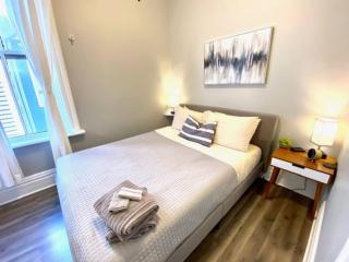 Spacious Historic Apartments In Lakeview Chicago - Walk to Wrigley, Nightlife, Shops, Hospitals - Chicago - 1