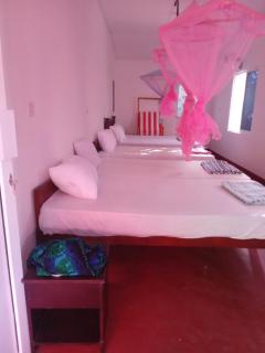 Vibushan Guest House - 3