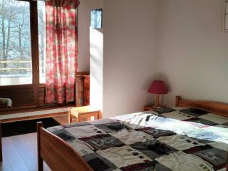 Charmant 2 pièces avec balcon, proche village et navettes, pour 4-6 personnes - FR-1-761-37 - Villard-de-Lans - 3